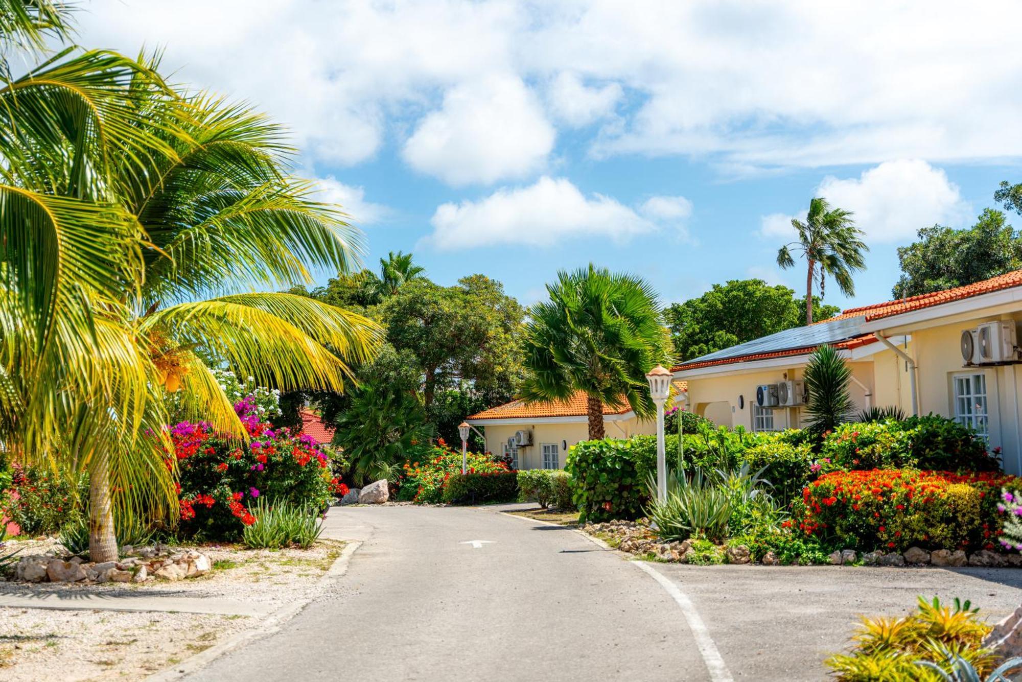 Livingstone Jan Thiel Resort Willemstad Eksteriør billede