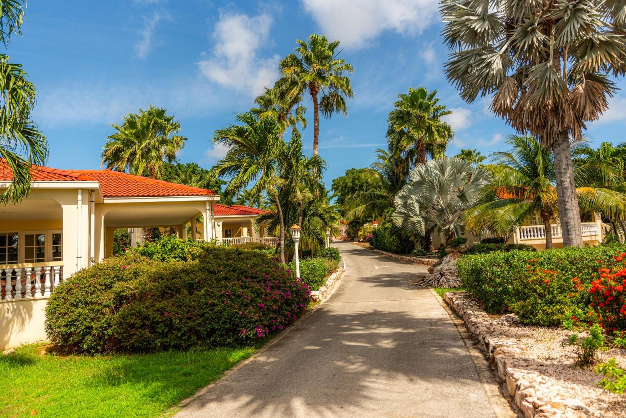 Livingstone Jan Thiel Resort Willemstad Eksteriør billede